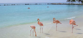 spanish Schools in Costa Rica