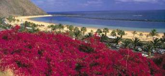 Accommodations in Tenerife